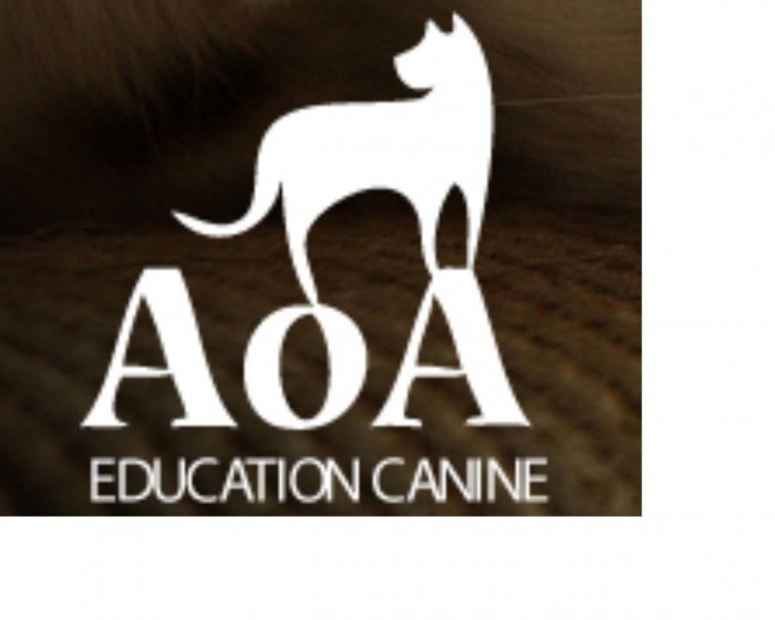 Photo de profil de aoaeducation