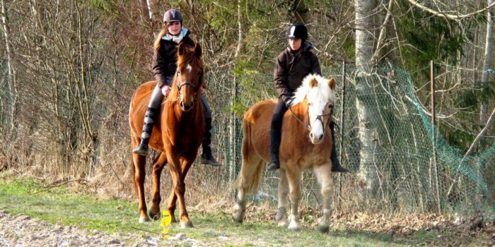 Photo de profil de armancel