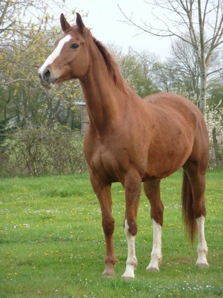 Photo de profil de oliviadu91