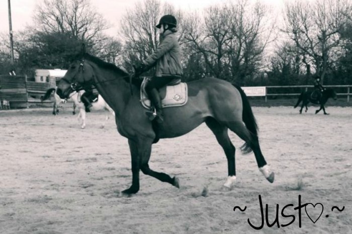 Photo de profil de nolwennrbc.