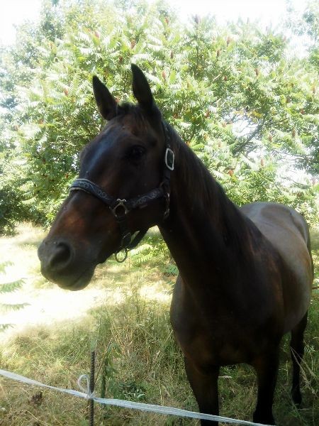 Photo de profil de nannoo