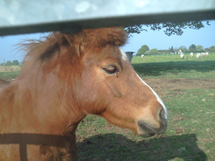 Photo de profil de lollll