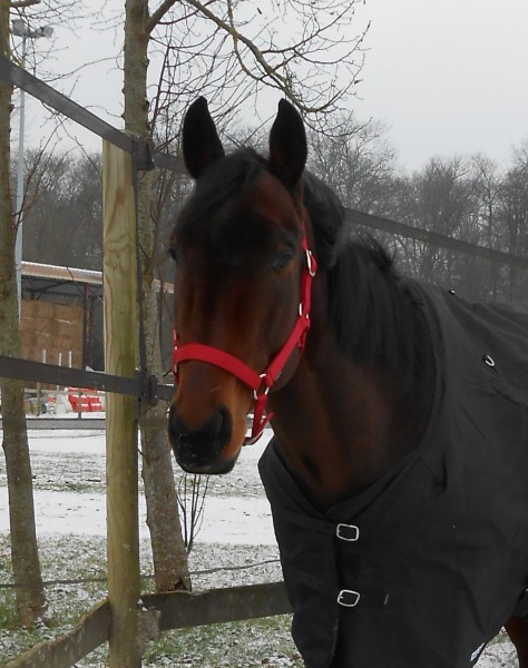 Photo de profil de ptitedel