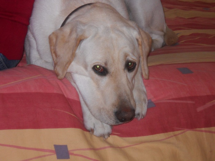 Photo de profil de marka3159