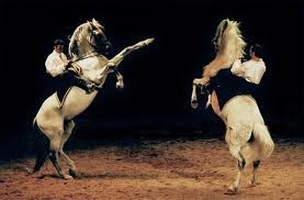 Photo de profil de aaatchic