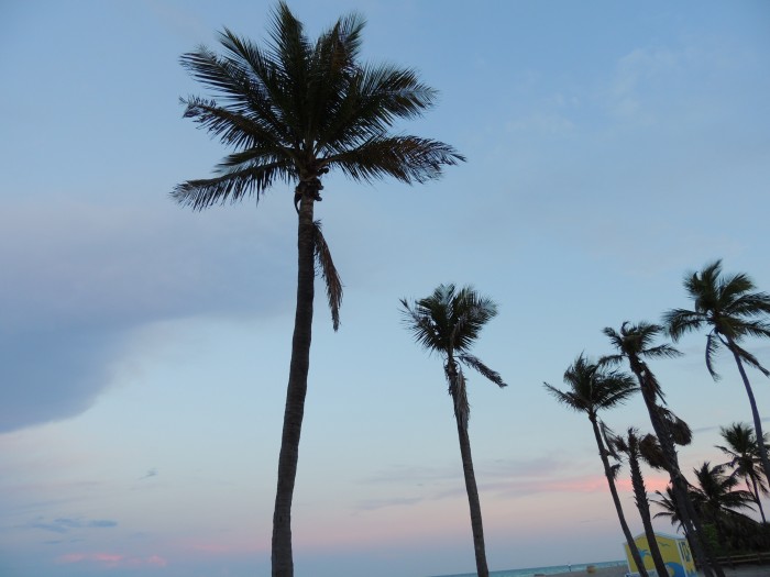 Photo de profil de miabeach