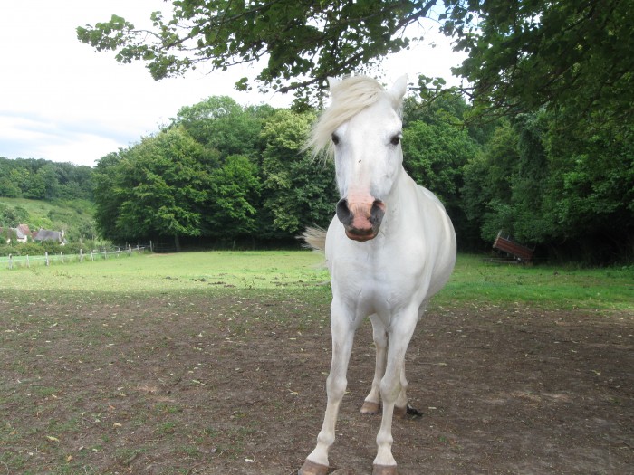 Photo de profil de stridou2