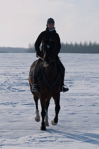 Photo de profil de ceranov