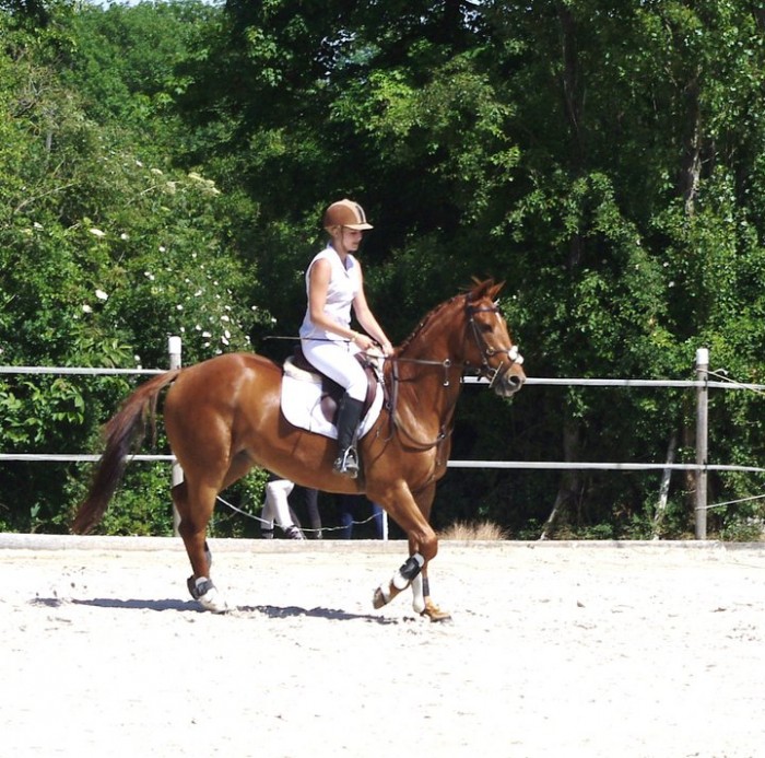 Photo de profil de claire.labas