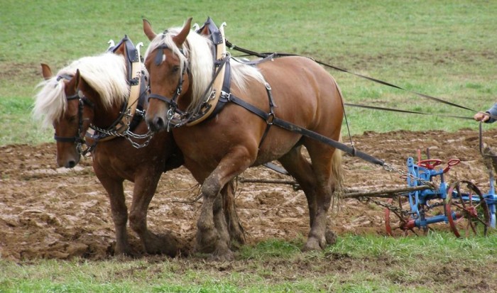 Photo de profil de diline68