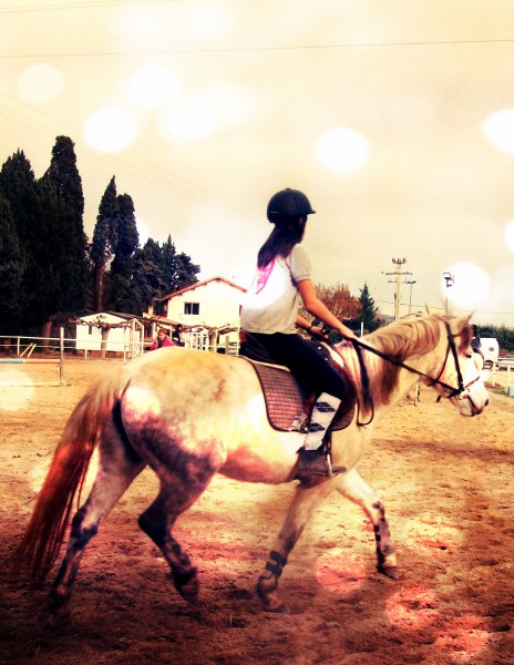 Photo de profil de meny.sarah