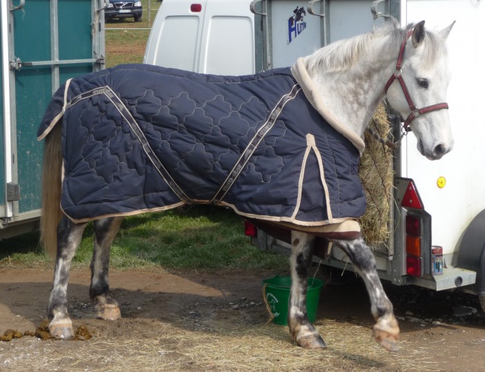 Photo de profil de ninisdu44