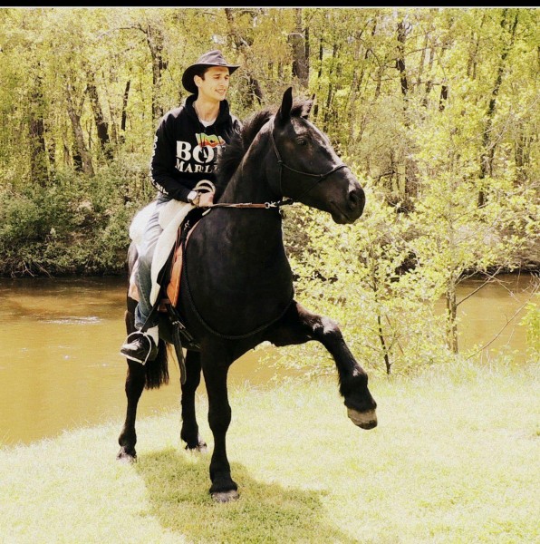 Photo de profil de amarillo64