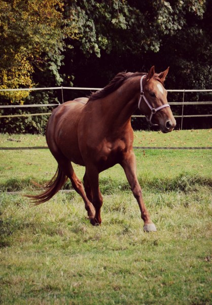 Photo de profil de anneagathelcnt