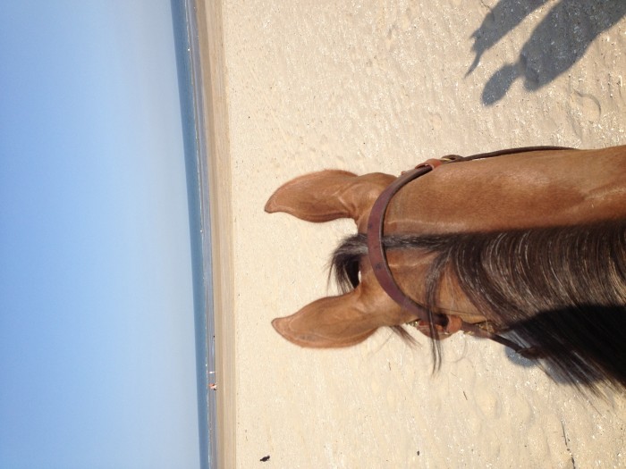 Photo de profil de hippo75