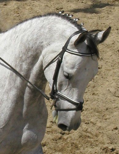 Photo de profil de vick08