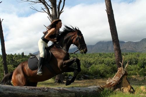 Photo de profil de clementine41