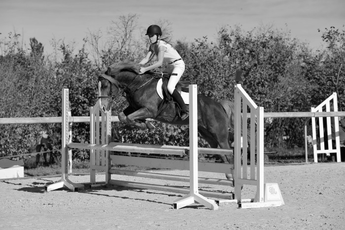 Photo de profil de melledu82