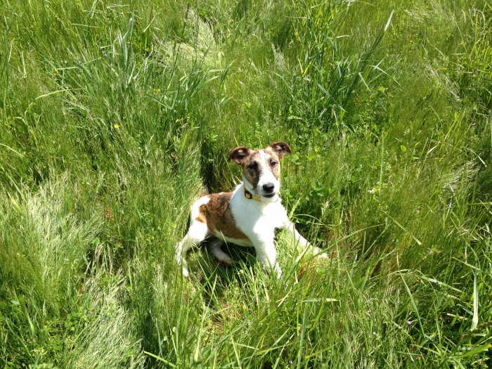 Photo de profil de higloo