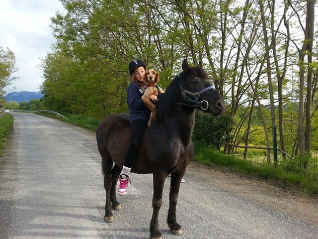 Photo de profil de twistponey