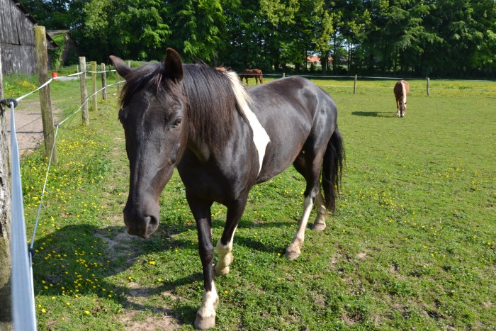 Photo de profil de spykie2903