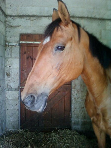 Photo de profil de gwen2761