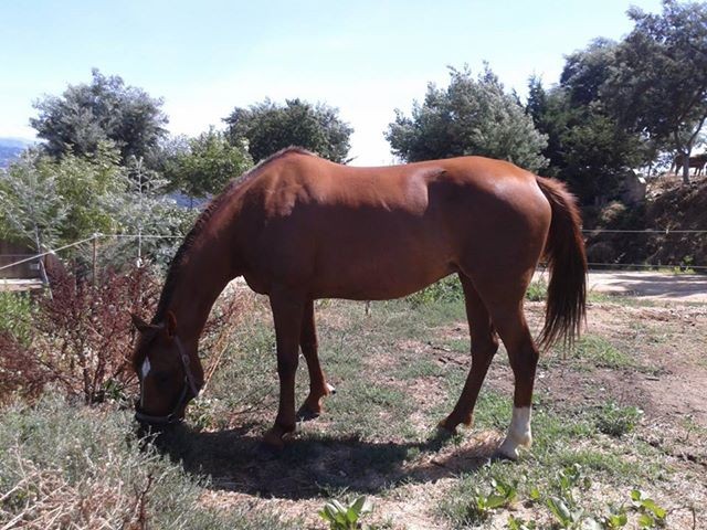 Photo de profil de rhapsodieturgot