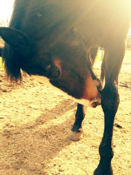 Photo de profil de yaclaire