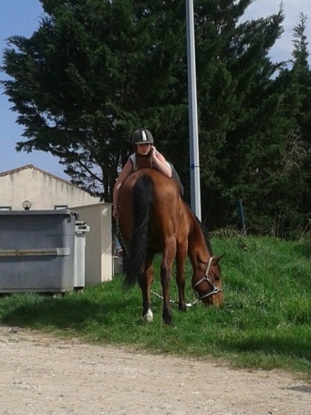 Photo de profil de johanna28012011