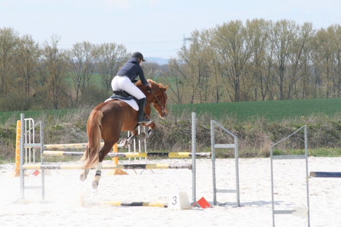 Photo de profil de marion1497