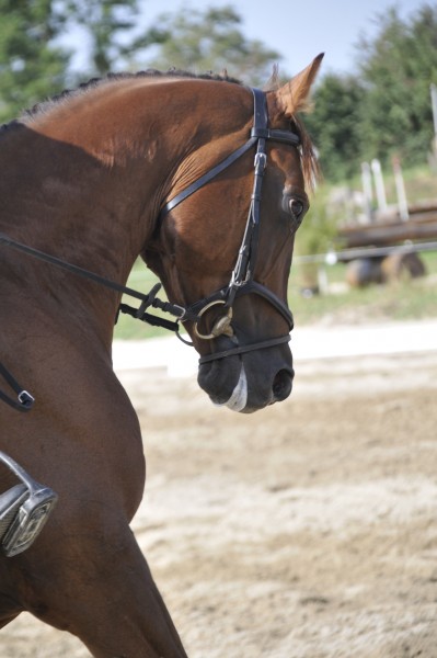 Photo de profil de badrocket