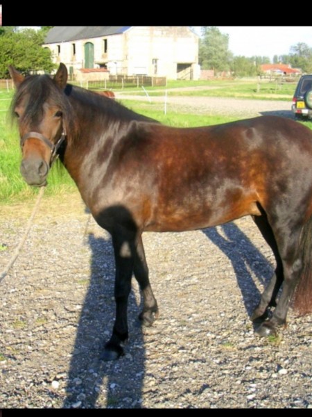 Photo de profil de ventedartmoor