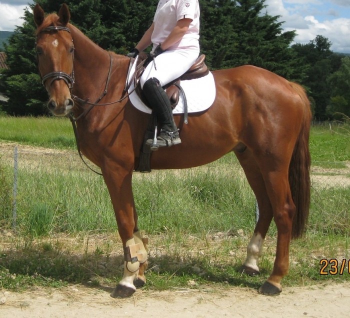 Photo de profil de marlau26