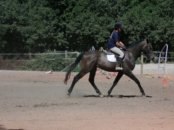 Photo de profil de annairis