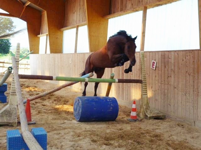 Photo de profil de maelle39300