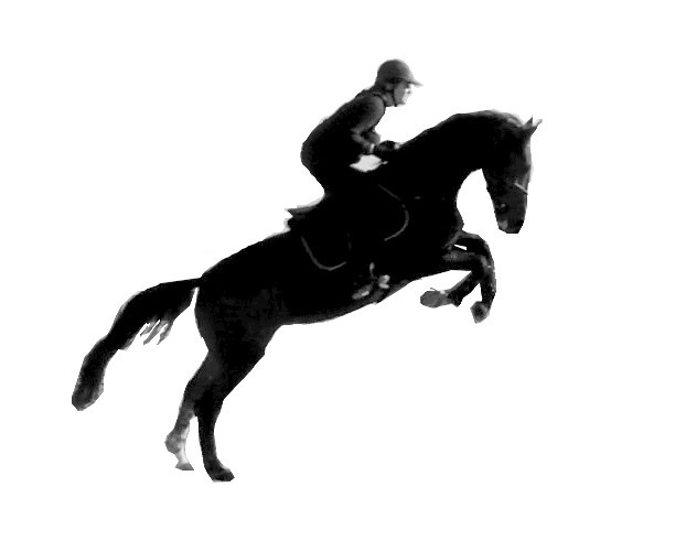 Photo de profil de manonvdp