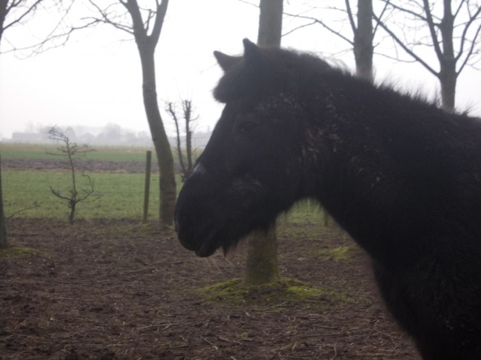 Photo de profil de fidjipohier