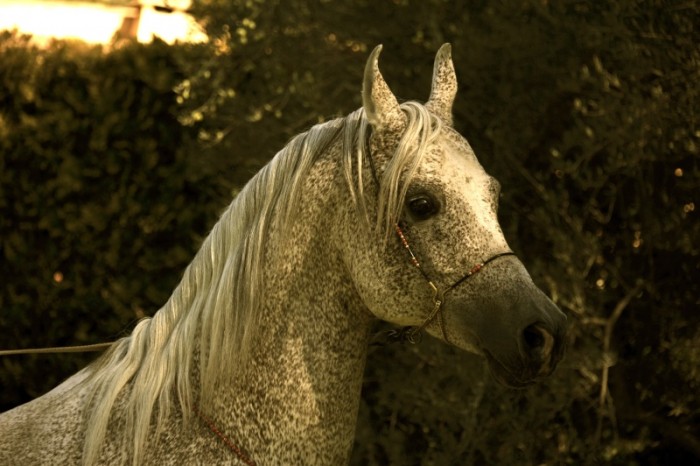 Photo de profil de lindorie