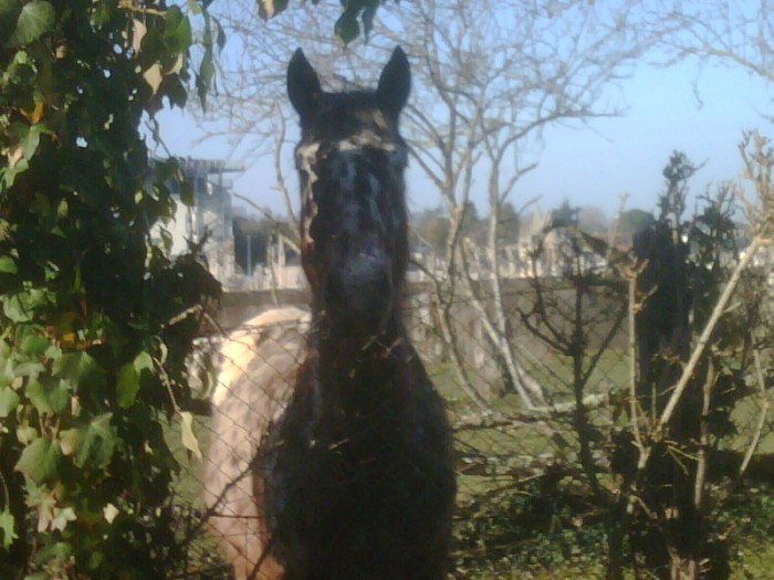 Photo de profil de volverine