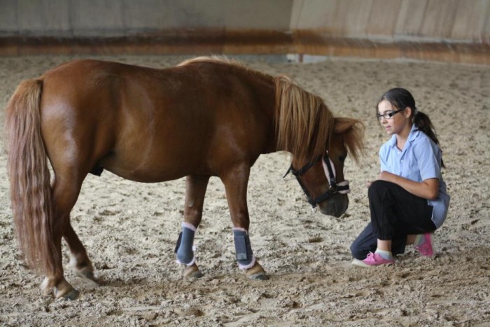 Photo de profil de coline34