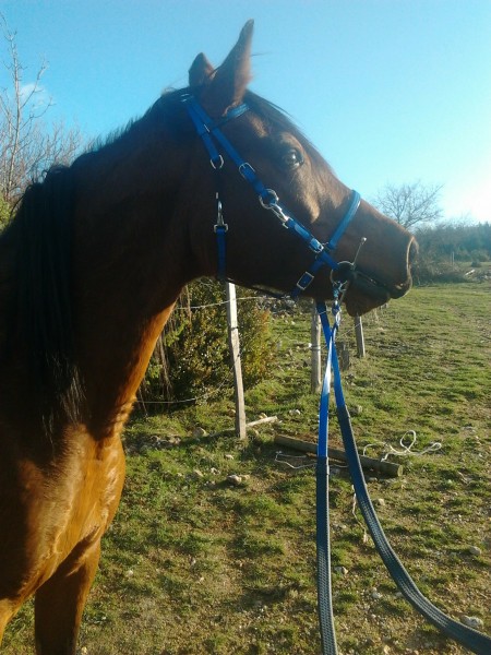 Photo de profil de marienikita