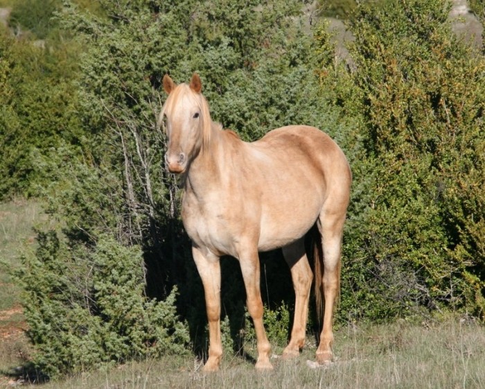 Photo de profil de maiana9