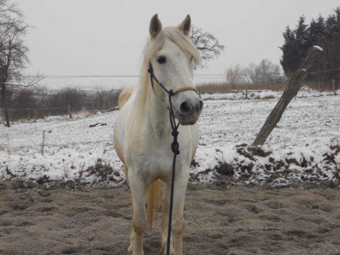 Photo de profil de camillelabrunie