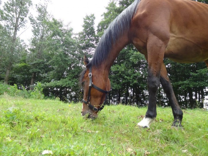 Photo de profil de louise67