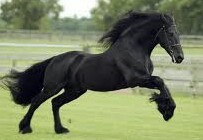 Photo de profil de shasha94