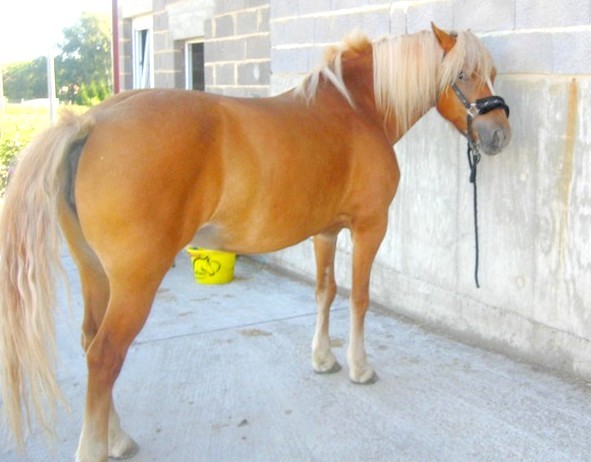 Photo de profil de astride