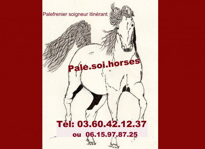 Photo de profil de pale.soi.horses