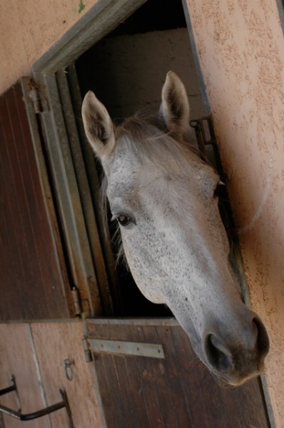 Photo de profil de ngrisette