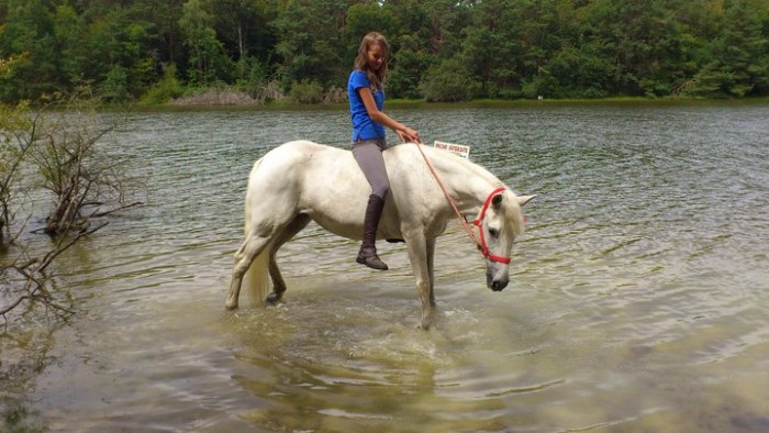 Photo de profil de clembdc