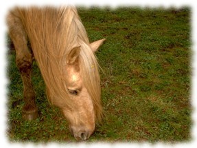 Photo de profil de laloulastar
